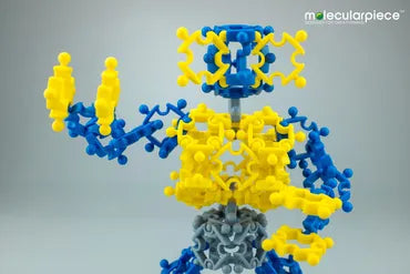 MOLECULAR BUILDING SET DESIGNER