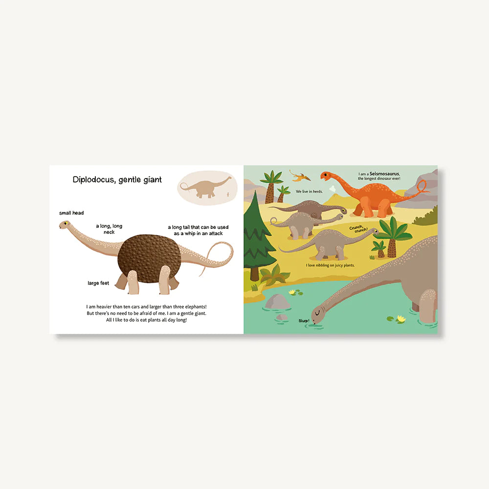 TOUCH AND EXPLORE: DINOSAURS  BB