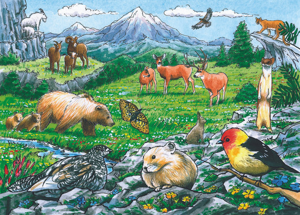 PUZZLE TRAY ROCKY MOUNTAIN WILDLIFE