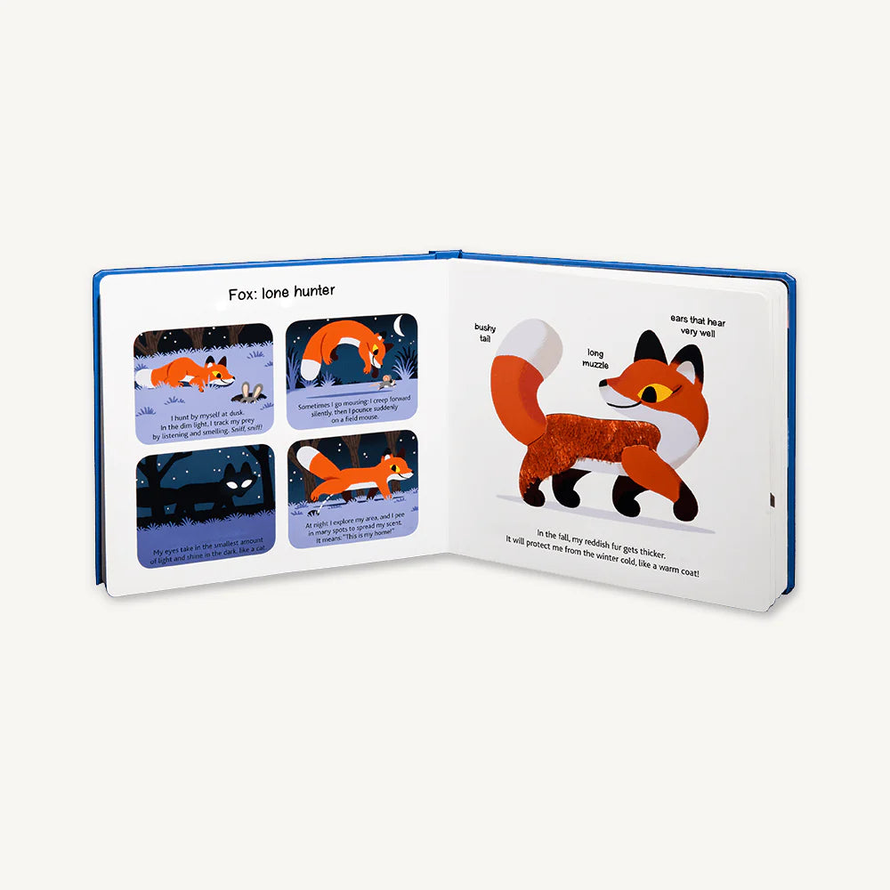 TOUCH AND EXPLORE: ANIMALS AT NIGHT