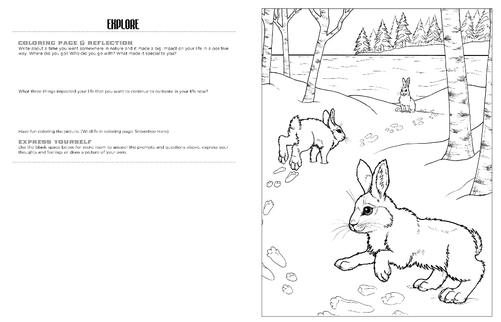 COLORING BOOK DISCOVER THE LAKE