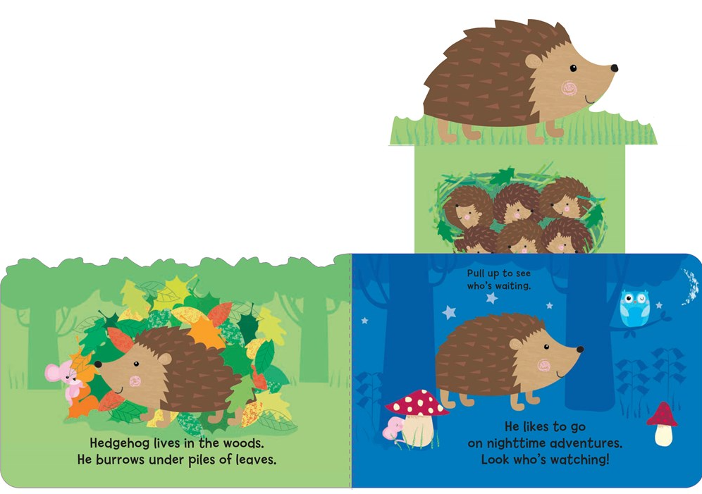 WOODLAND BABIES PULL-UPS  BB