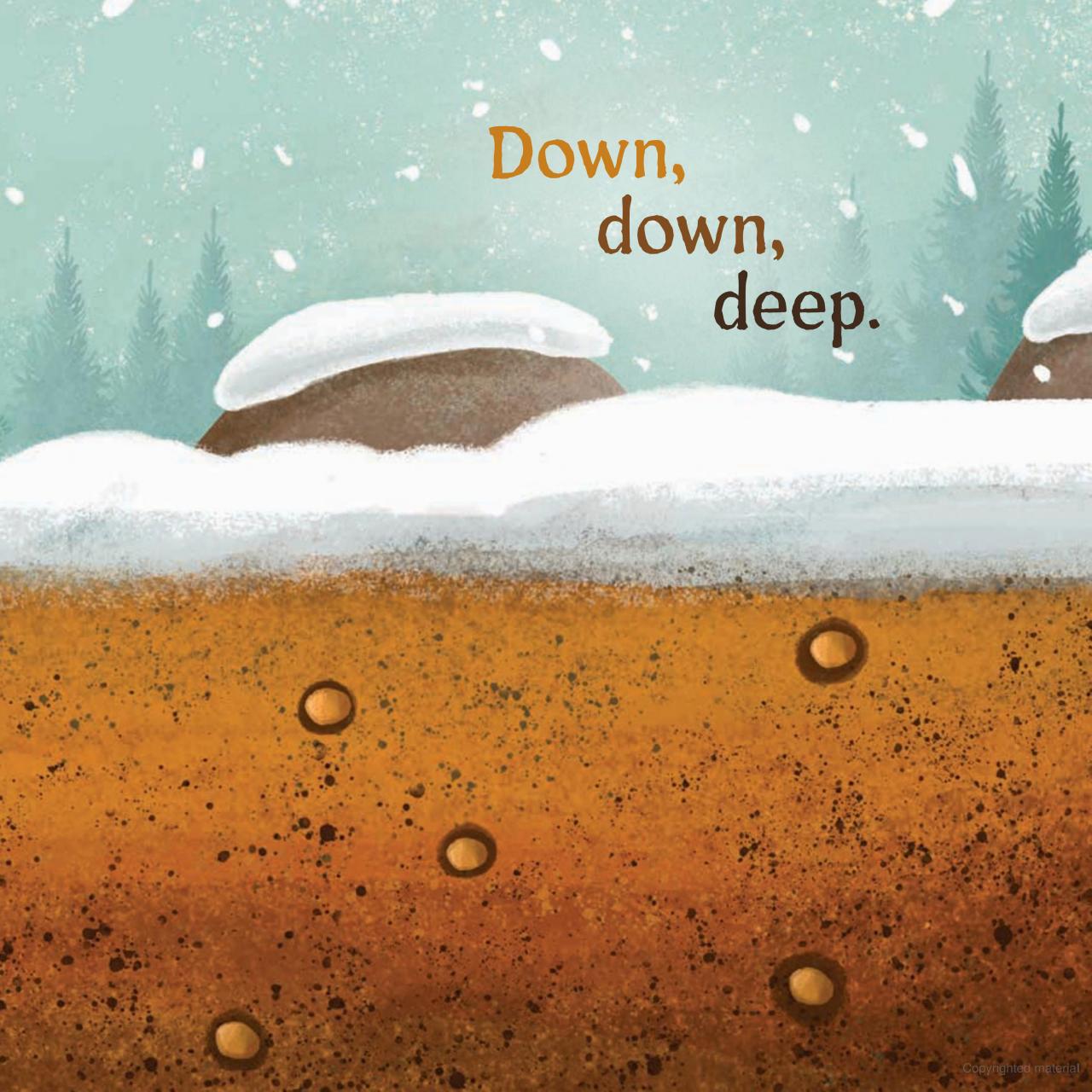 WILDFLOWERS GROW  BB