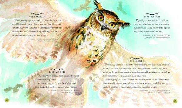 HARRY POTTER:  A MAGICAL YEAR   YA