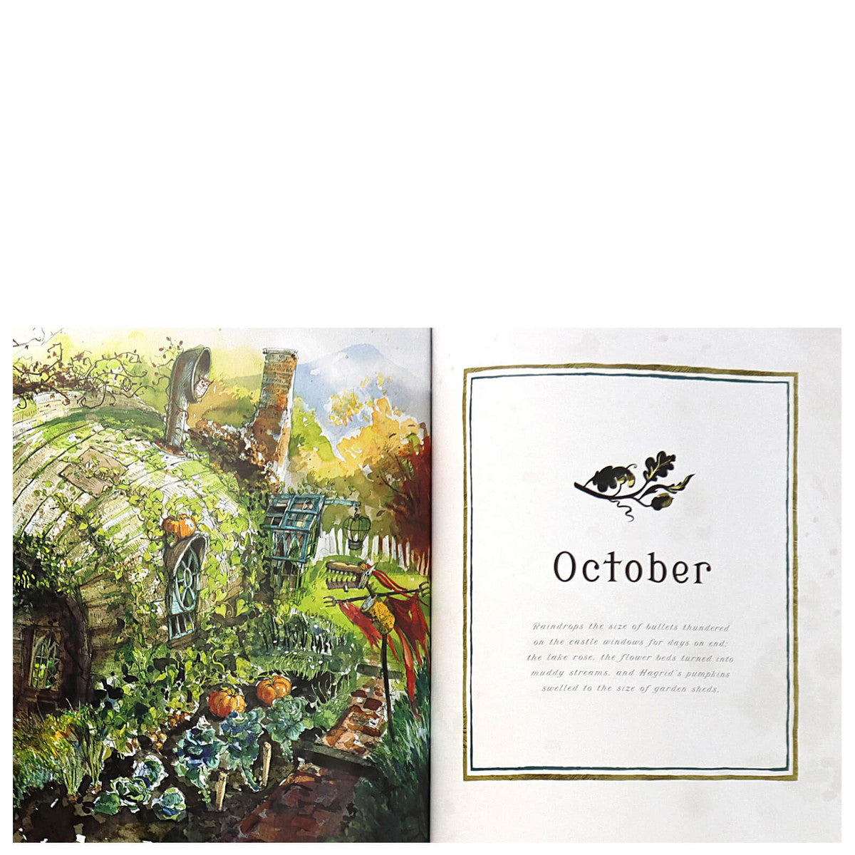 HARRY POTTER:  A MAGICAL YEAR   YA