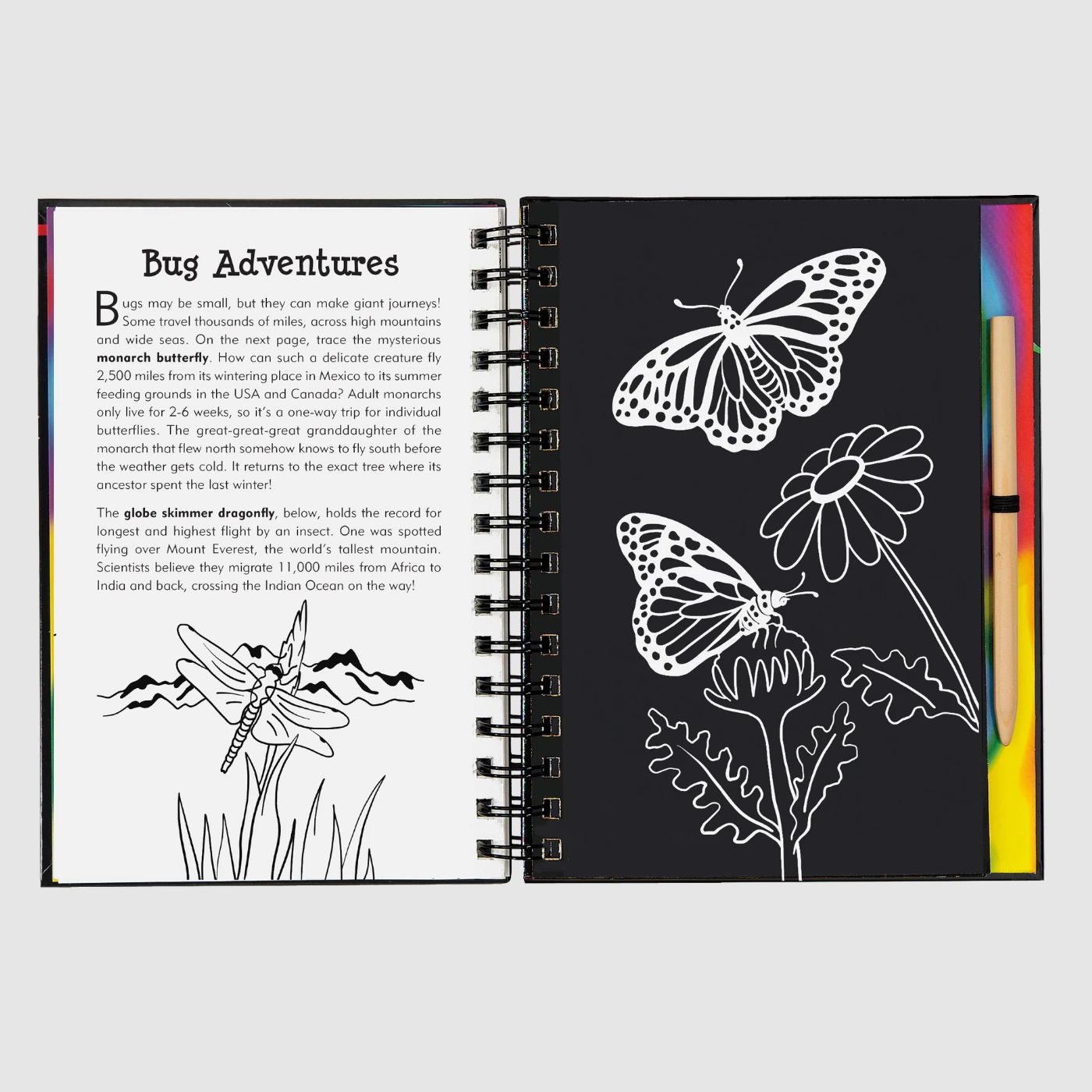 SCRATCH & SKETCH BUGS ACTIVITY BOOK