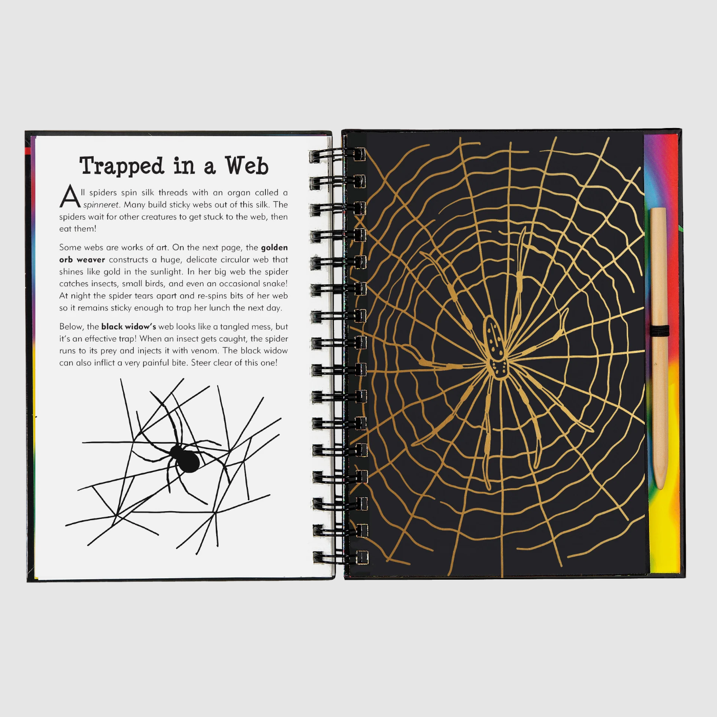 SCRATCH & SKETCH BUGS ACTIVITY BOOK