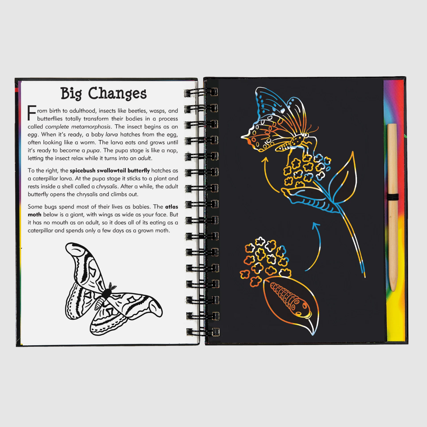 SCRATCH & SKETCH BUGS ACTIVITY BOOK