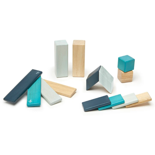 BLOCKS TEGU 14 PC BLUES