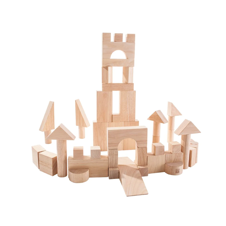 BLOCKS 50 PC PLAN TOY