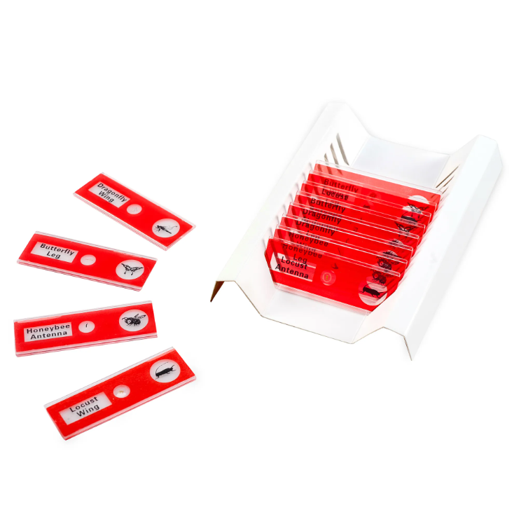 MICROSCOPE SLIDE SET GEOSAFARI