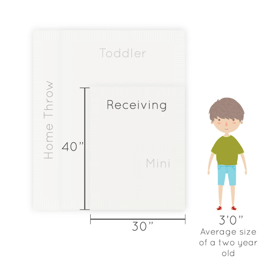 BLANKET LUSH FAIRY WINGS RECEIVING