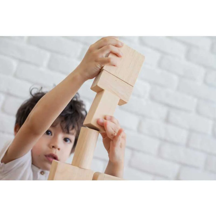 BLOCKS 50 PC PLAN TOY