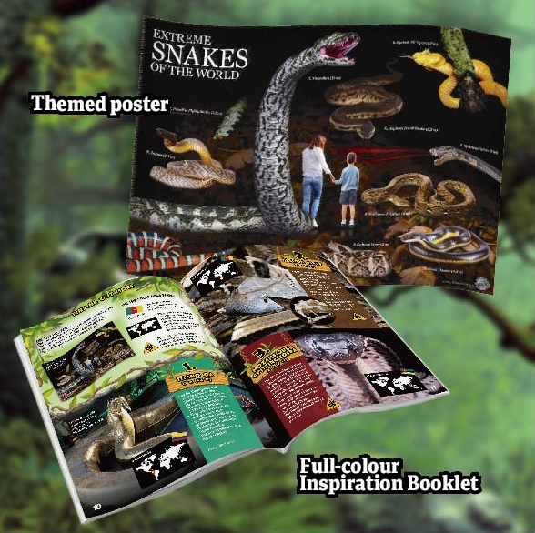 EXTREME SNAKES OF THE WORLD