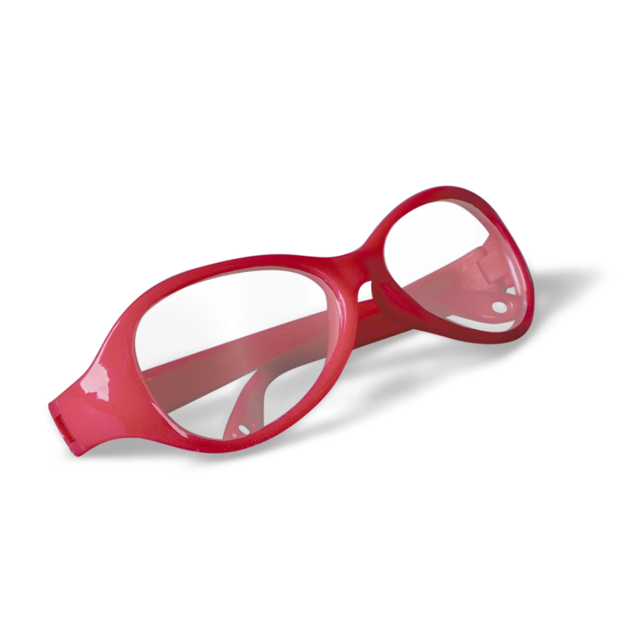 PALAEONTOLOGY TRICERATOPS KIT