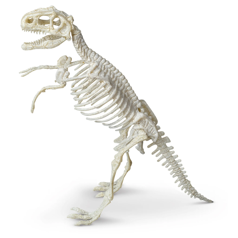 PALAEONTOLOGY TYRANNOSAURUS KIT
