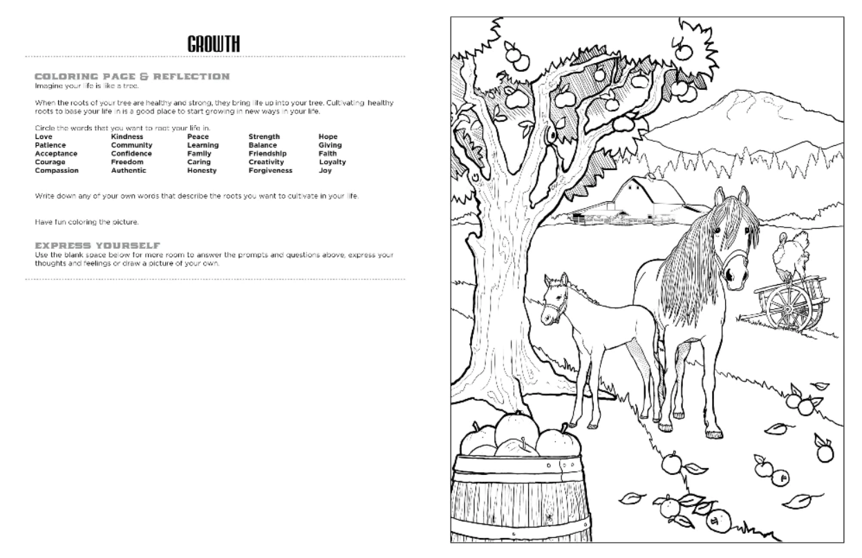 COLORING BOOK DISCOVER THE BARN