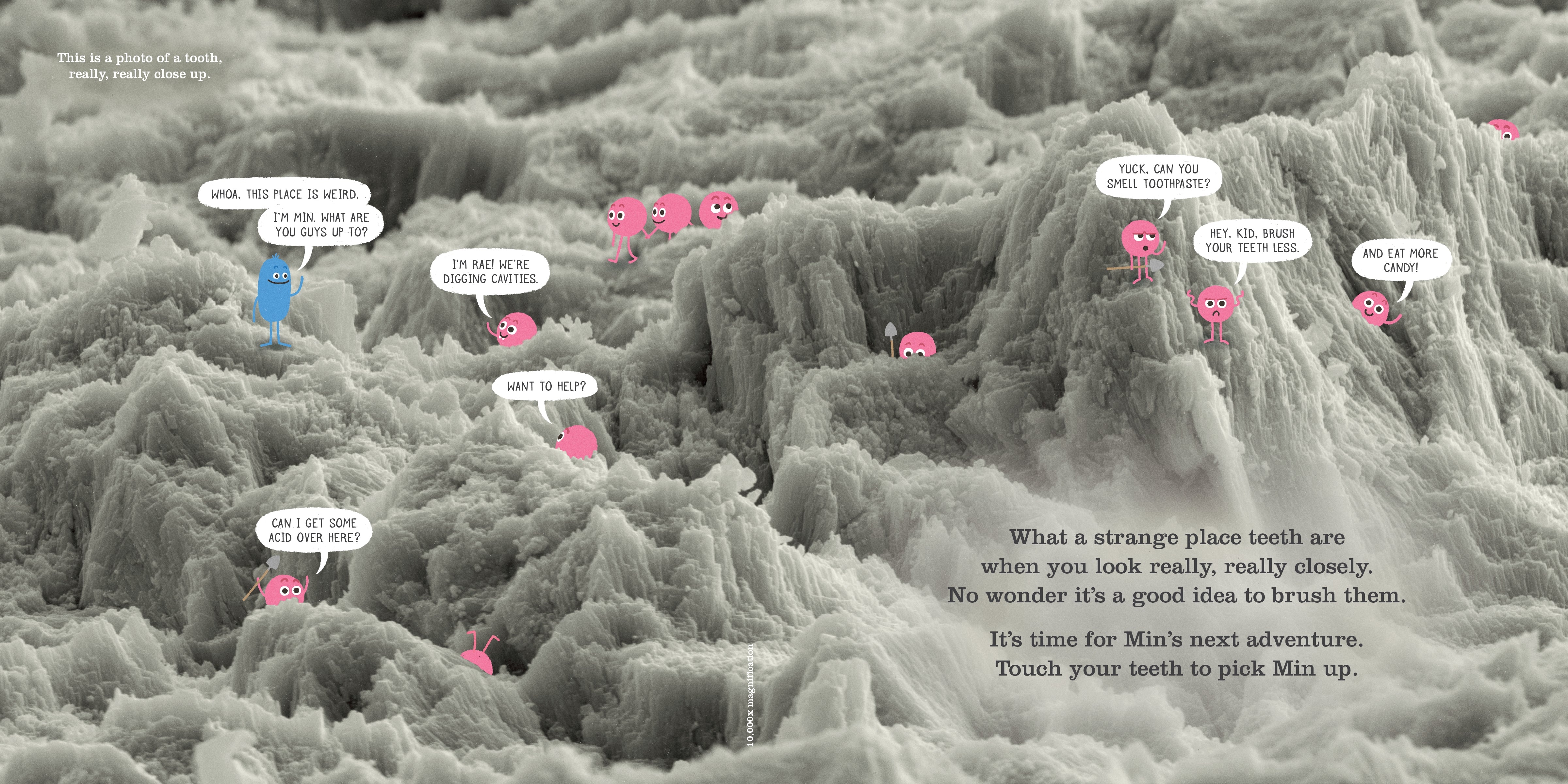 Do Not Lick This Book