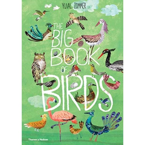 Big Book of Birds