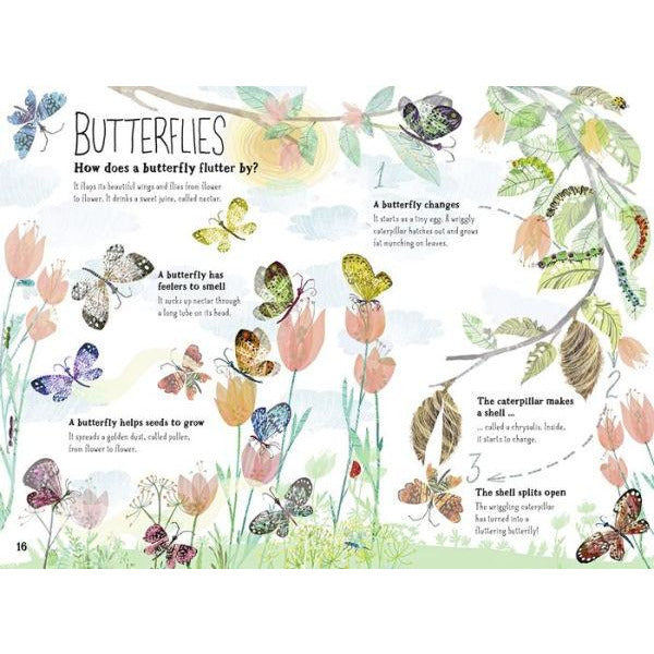Big Book of Bugs