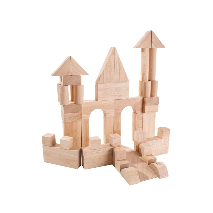 BLOCKS 50 PC PLAN TOY