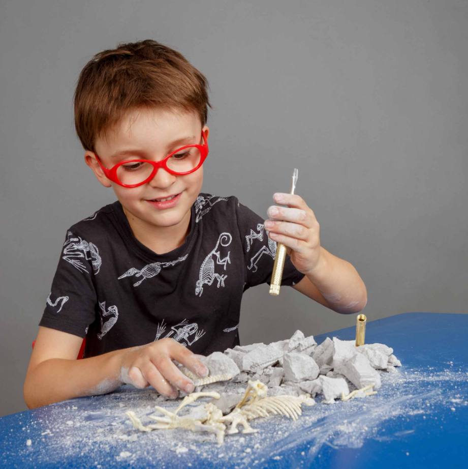 PALAEONTOLOGY TRICERATOPS KIT