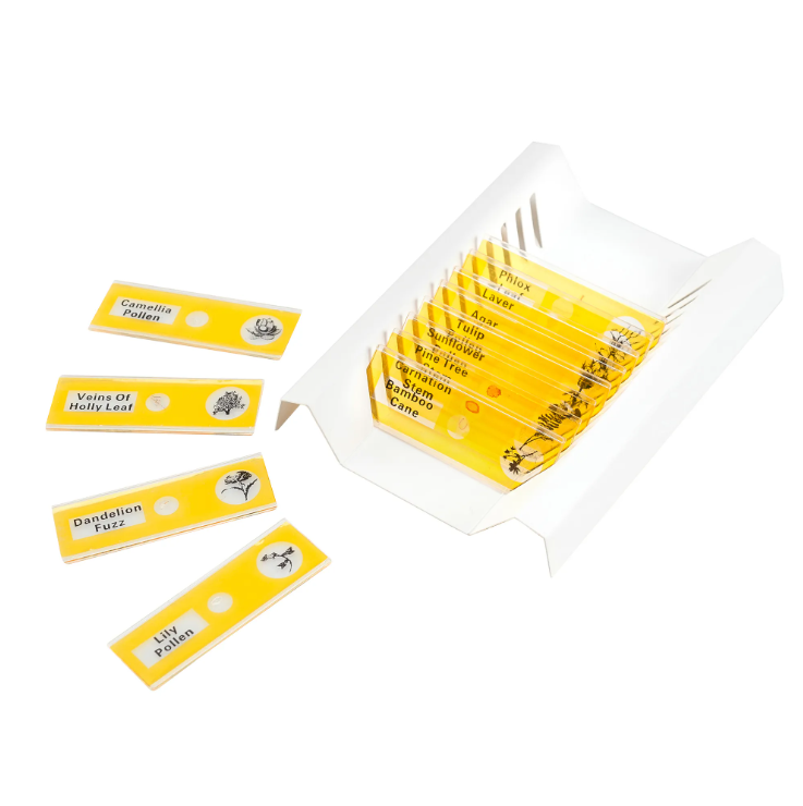 MICROSCOPE SLIDE SET GEOSAFARI