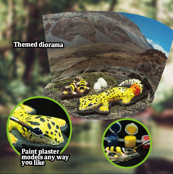 AMAZING, BIZARRE LIZARDS OF THE WORLD
