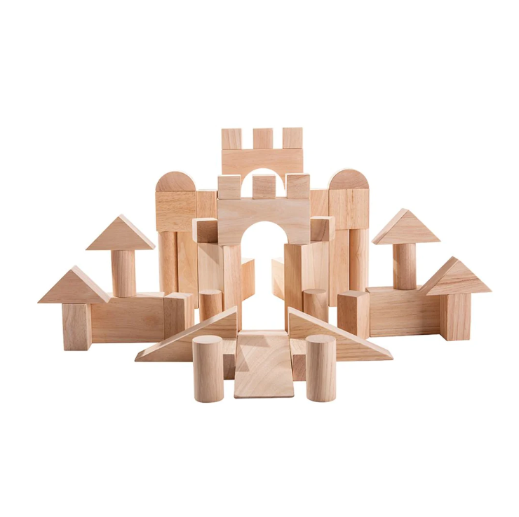 BLOCKS 50 PC PLAN TOY