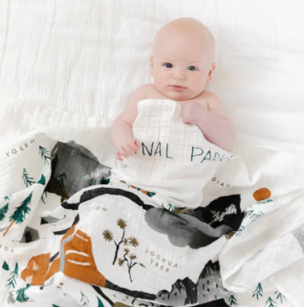 SWADDLE NATIONAL PARKS