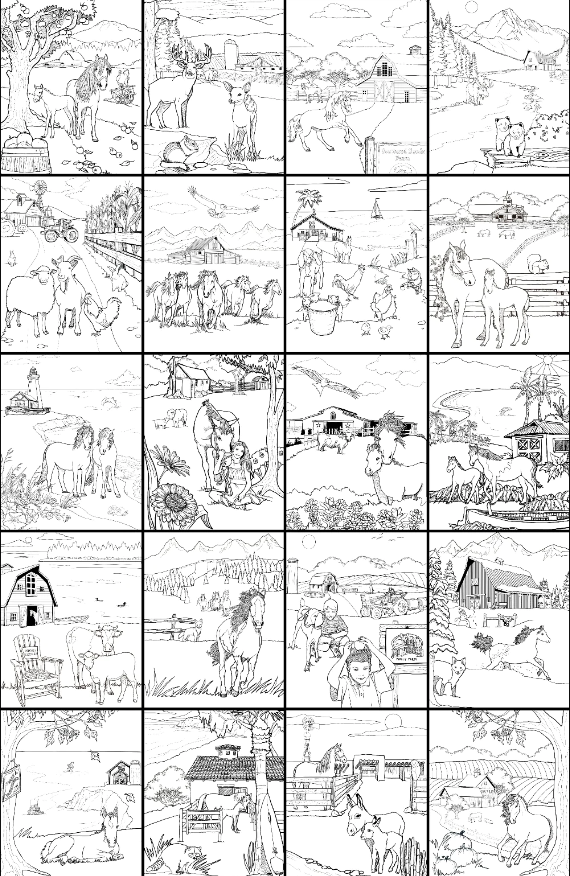 COLORING BOOK DISCOVER THE BARN