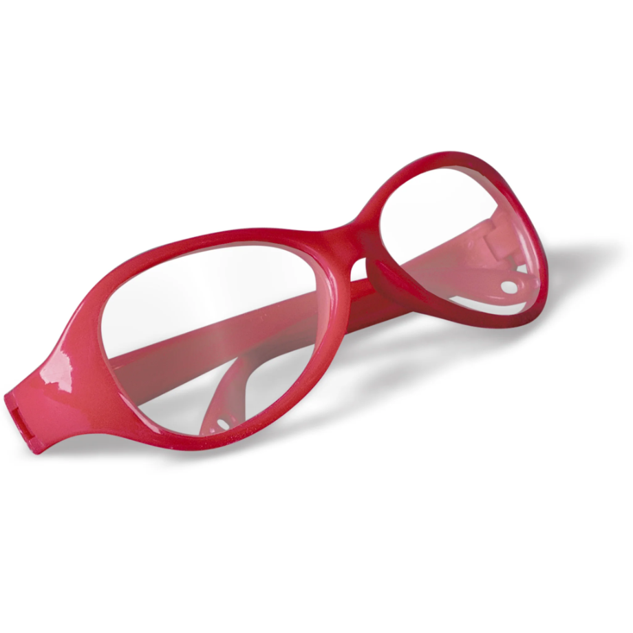 PALAEONTOLOGY TYRANNOSAURUS KIT