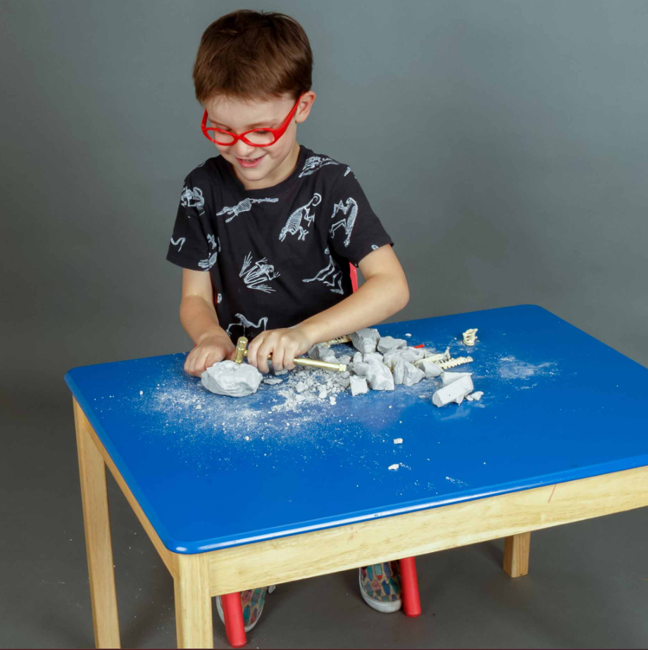 PALAEONTOLOGY TRICERATOPS KIT