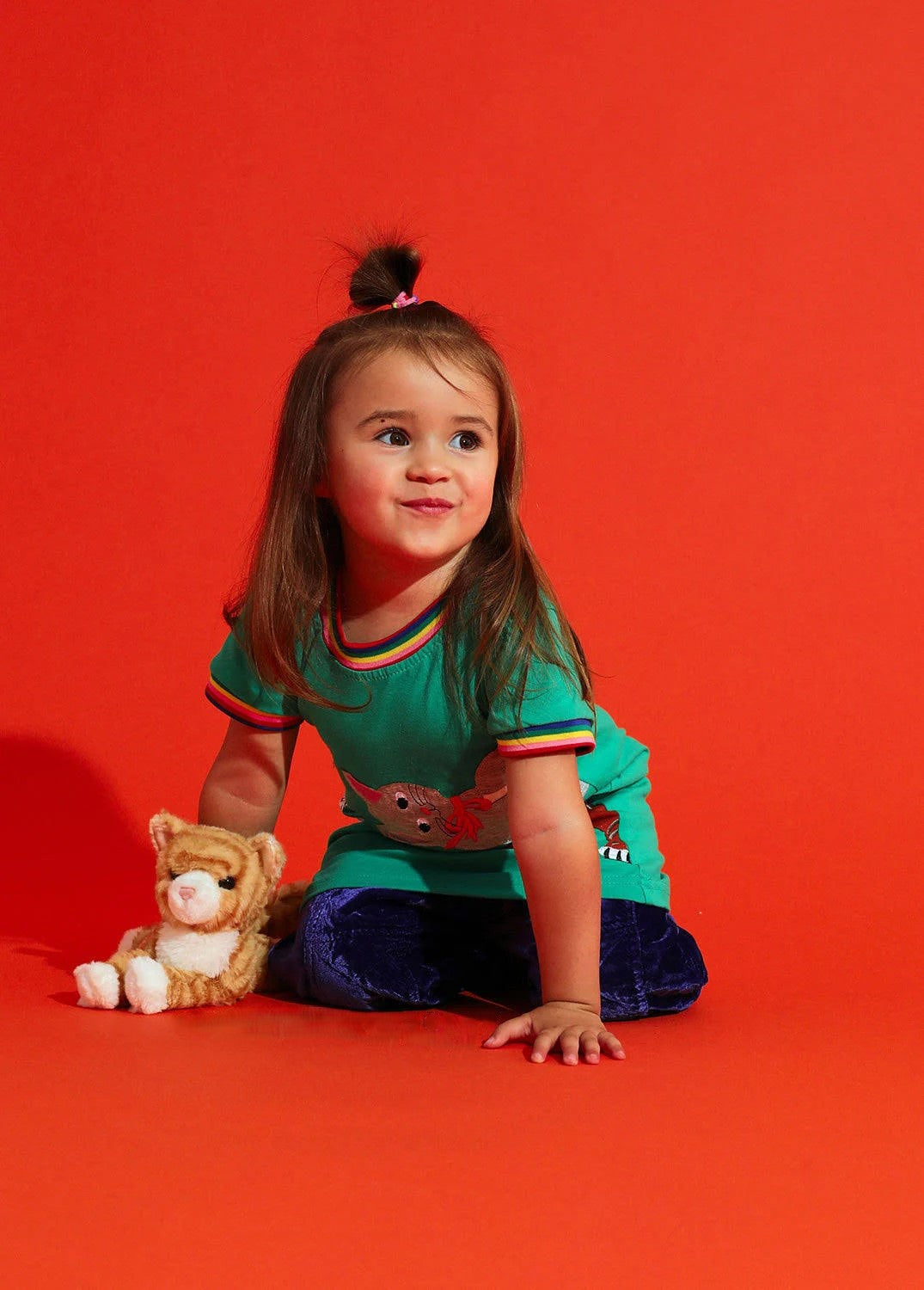 CAT STRIPED GINGIE MINI SOFT