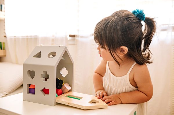 HOUSE SHAPED WOOD SORTER