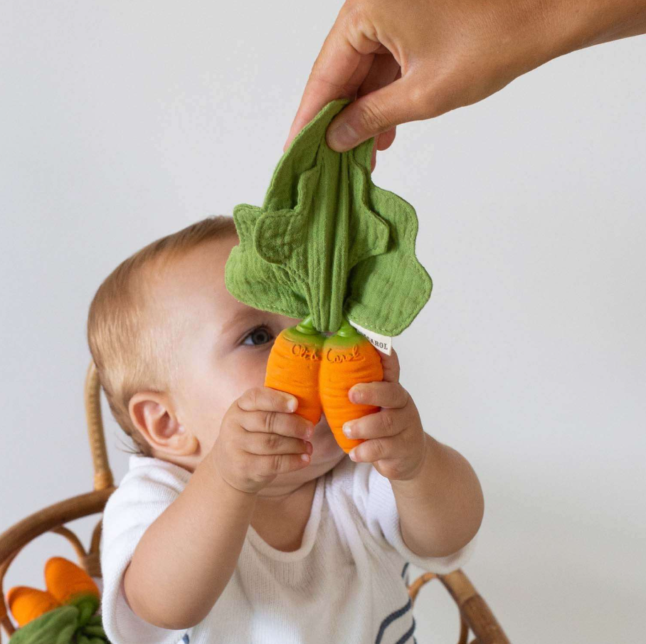 BABY CAR CARROT CATHY