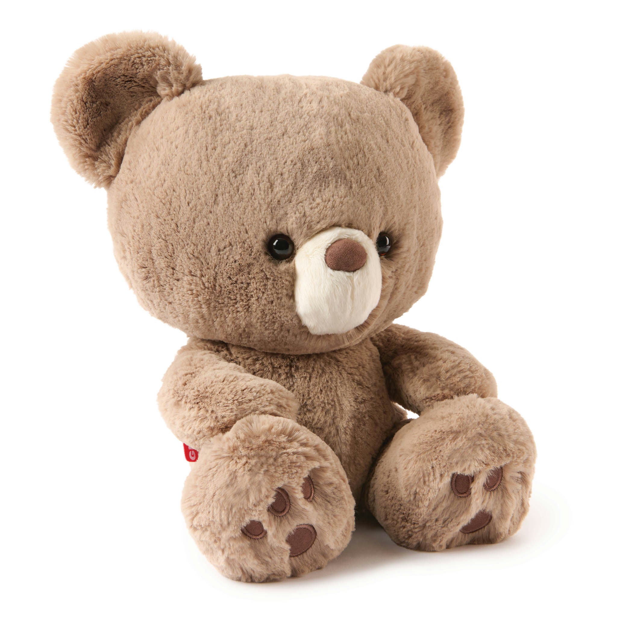 KAI BEAR FOREVER FRIENDS PROMISE