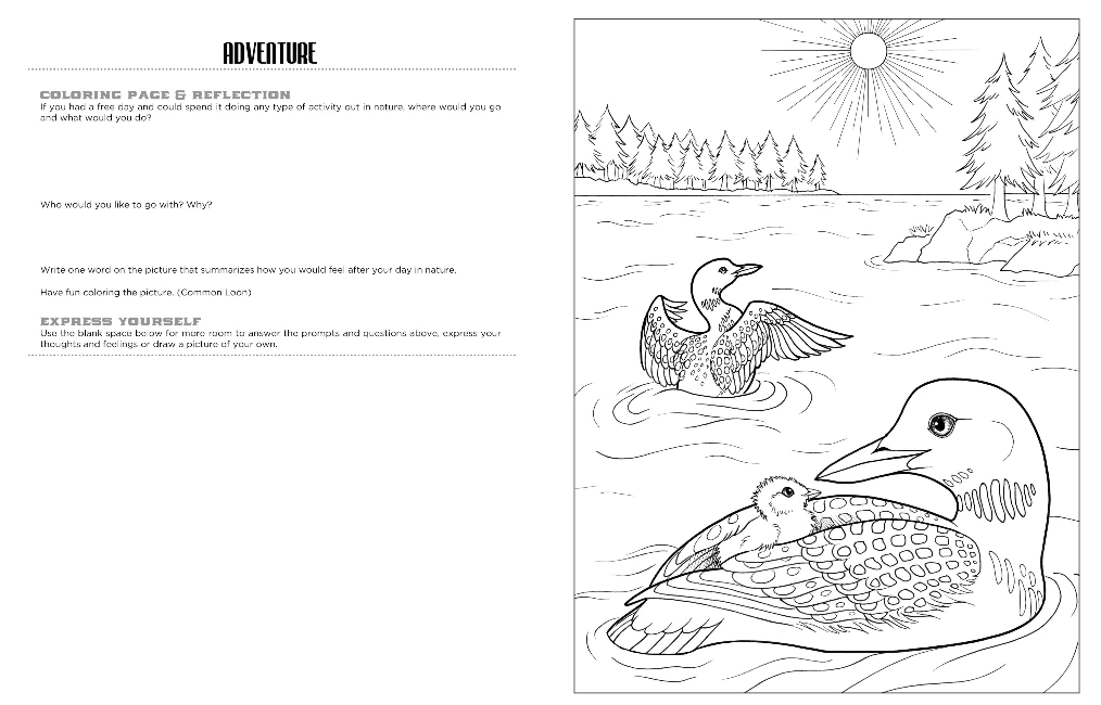 COLORING BOOK DISCOVER THE LAKE