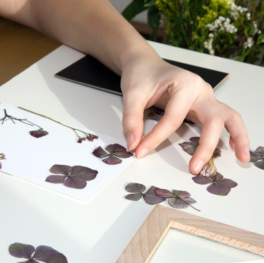 PRESSED FLOWER ART KIT