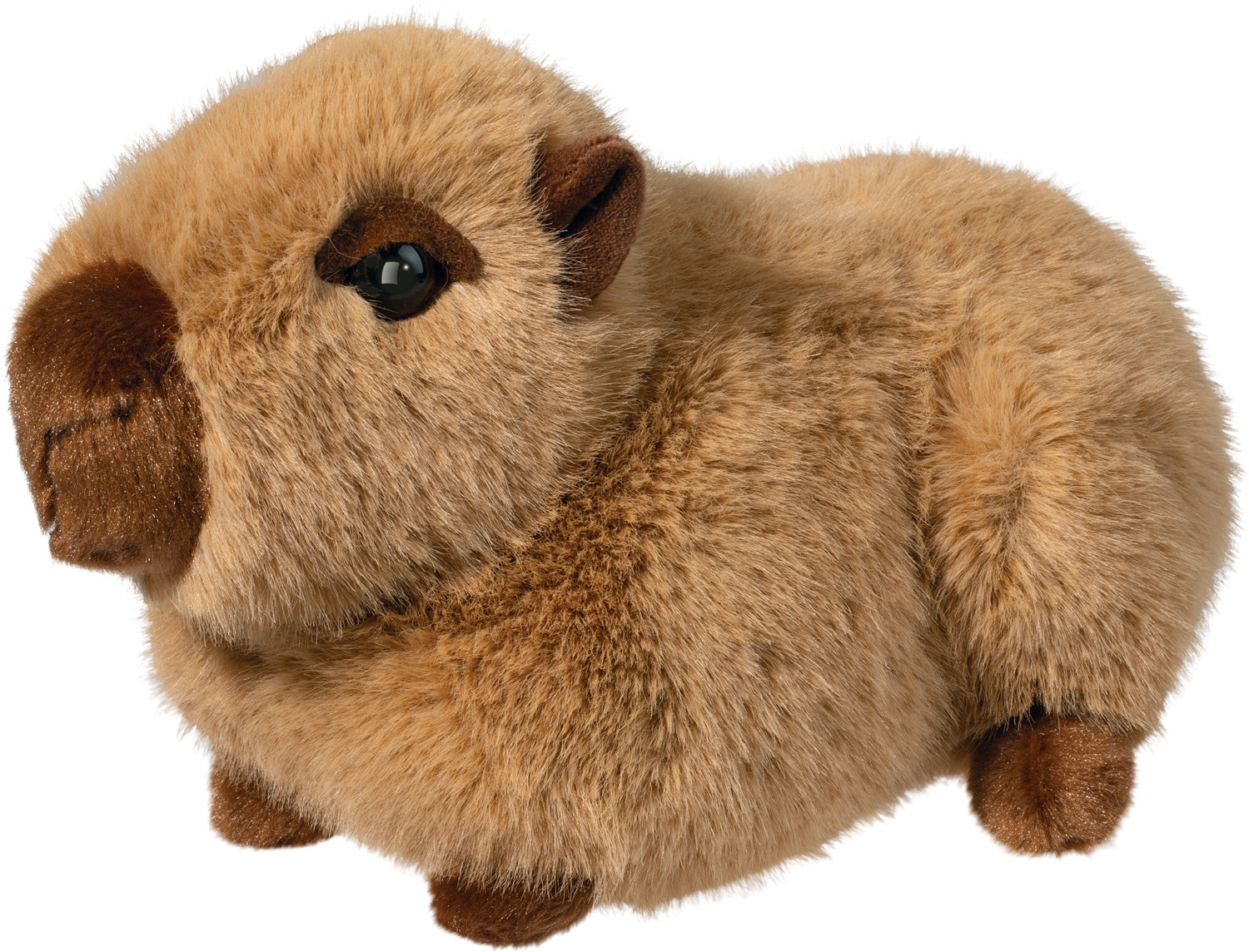 CAPYBARA CHATTIE