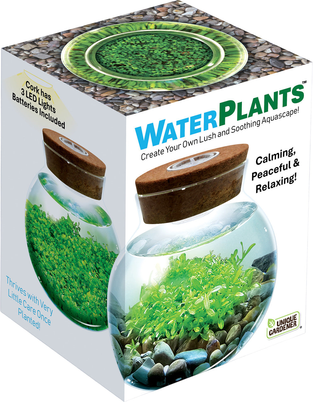 WATER PLANTS CREATE OWN LUSH AQUASCAPE