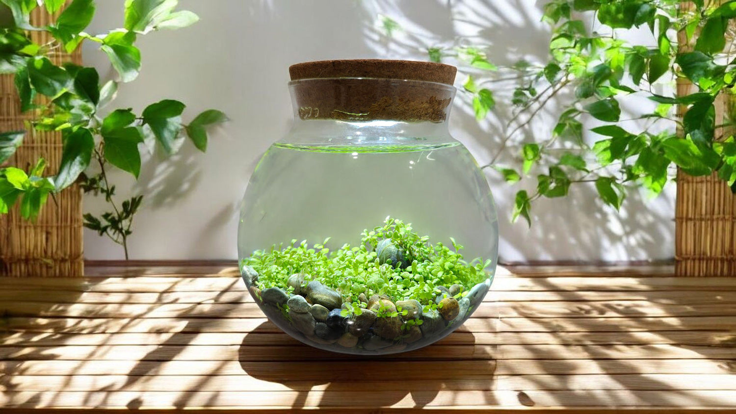 WATER PLANTS CREATE OWN LUSH AQUASCAPE