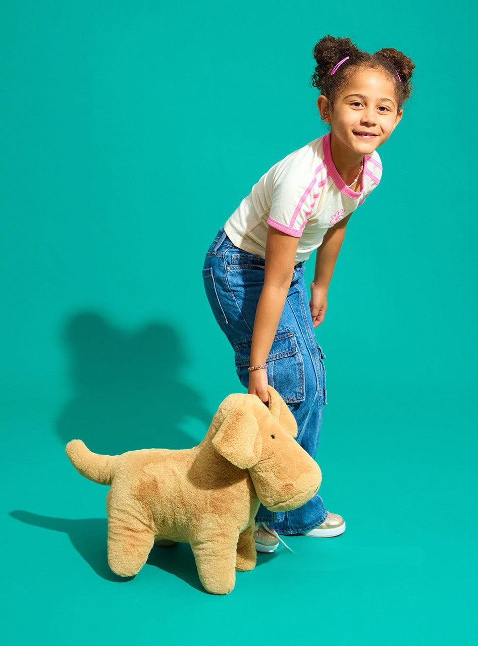 DOG TIM TAN SUPER MUZZLE