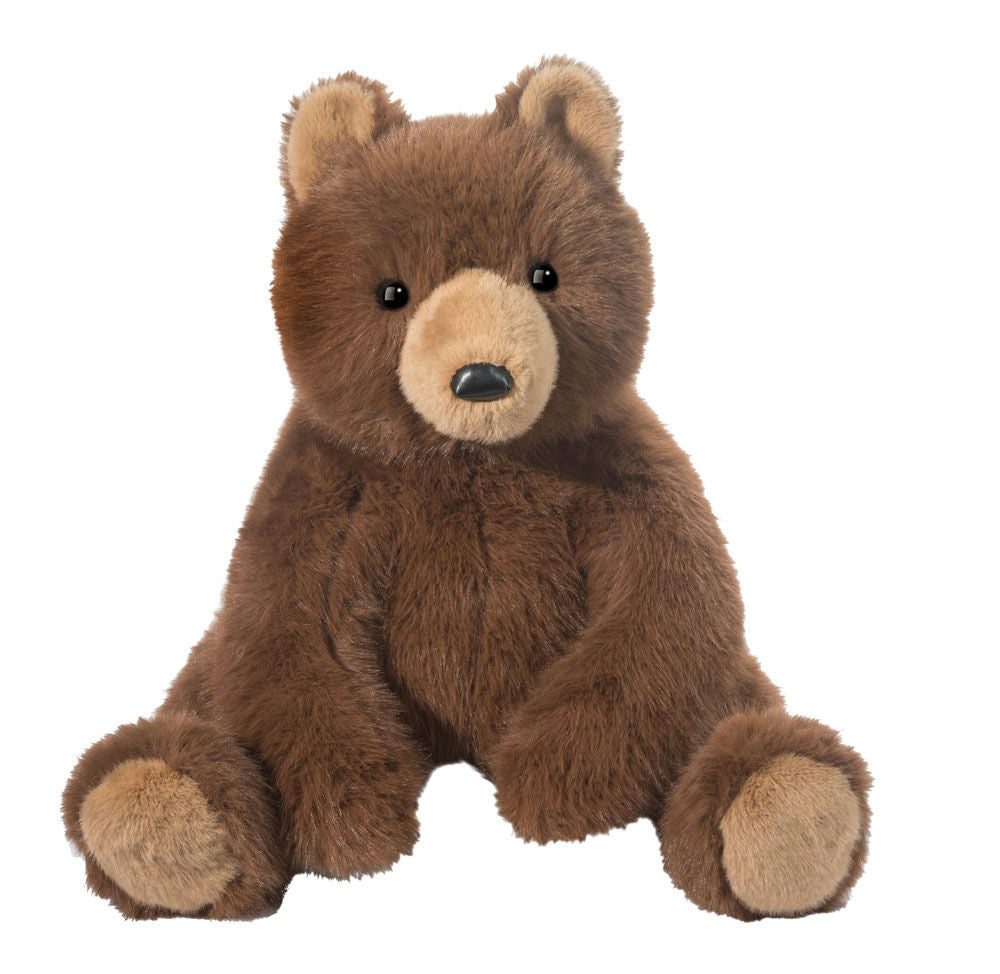 Brown teddy bear on a white background