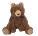 Brown teddy bear on a white background