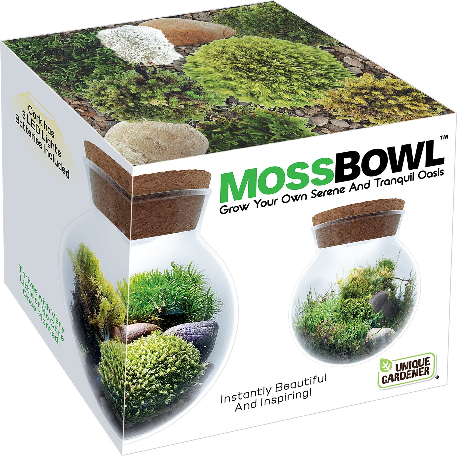 MOSS BOWL GROW YOUR OWN OASIS