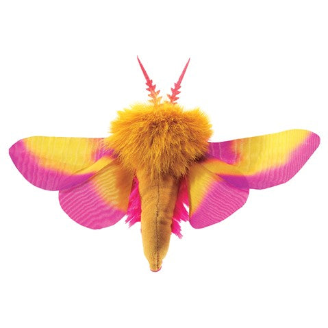 FINGER PUPPET ROSY MAPLE MOTH