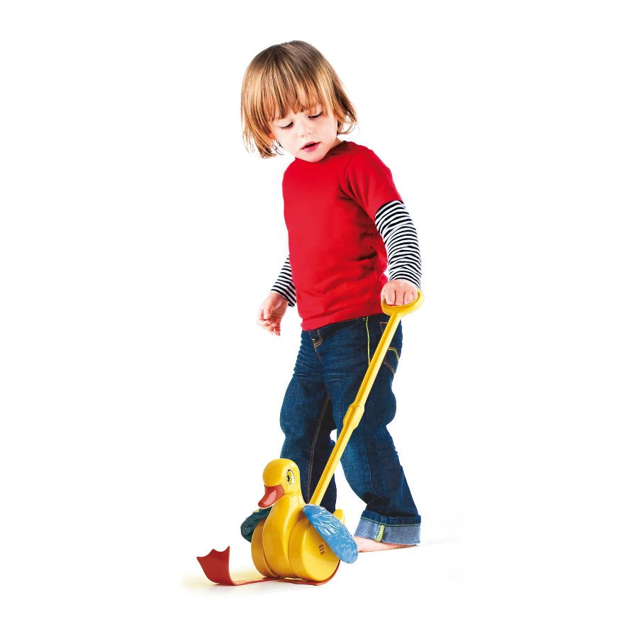 QUACK AND FLAP PUSH TOY