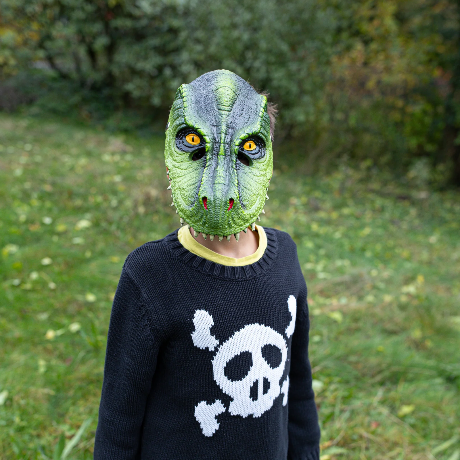 MASK DINO TREX