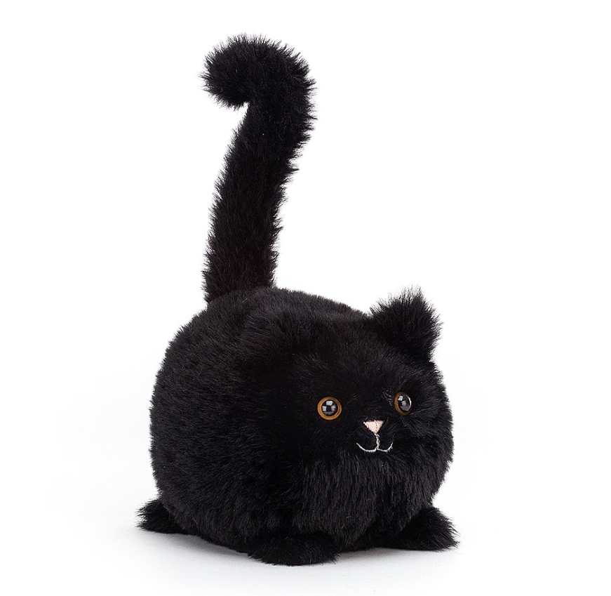 KITTEN BLACK CABOODLE